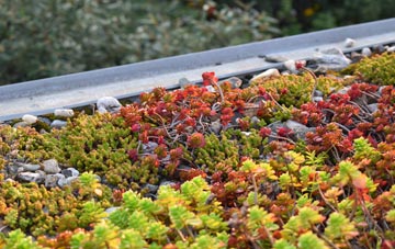 the cost of Hexham green roof installation