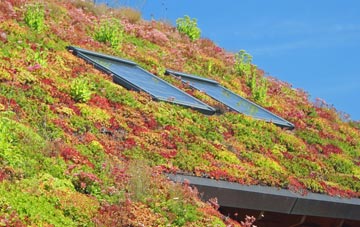 Hexham living roof systems