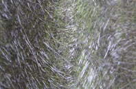 Hexham fibreglass roof work